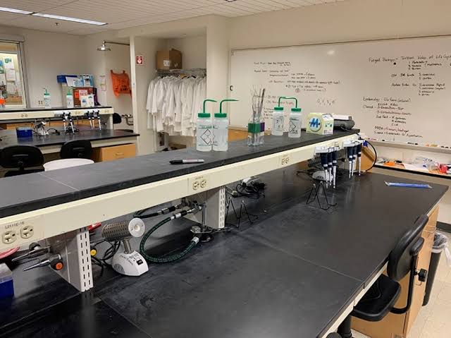 Computer & Practical Labs